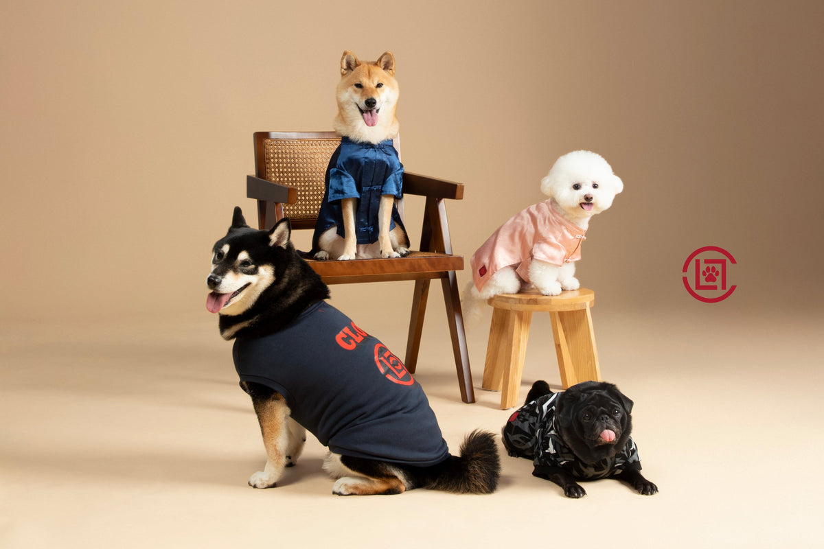 CLOT UNVEILS NEW PET APPAREL COLLECTION