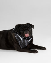 Pet Triangle Scarf (Black)