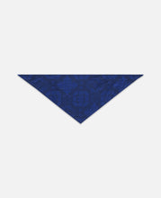 Pet Triangle Scarf (Blue)
