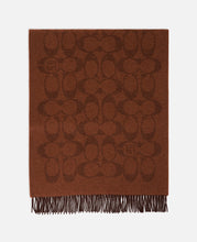 Coach Clot Reversible Horse And Carriage Oversized Muffler (Brown)