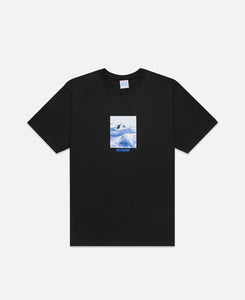 Killer Whale T-Shirt (Black)