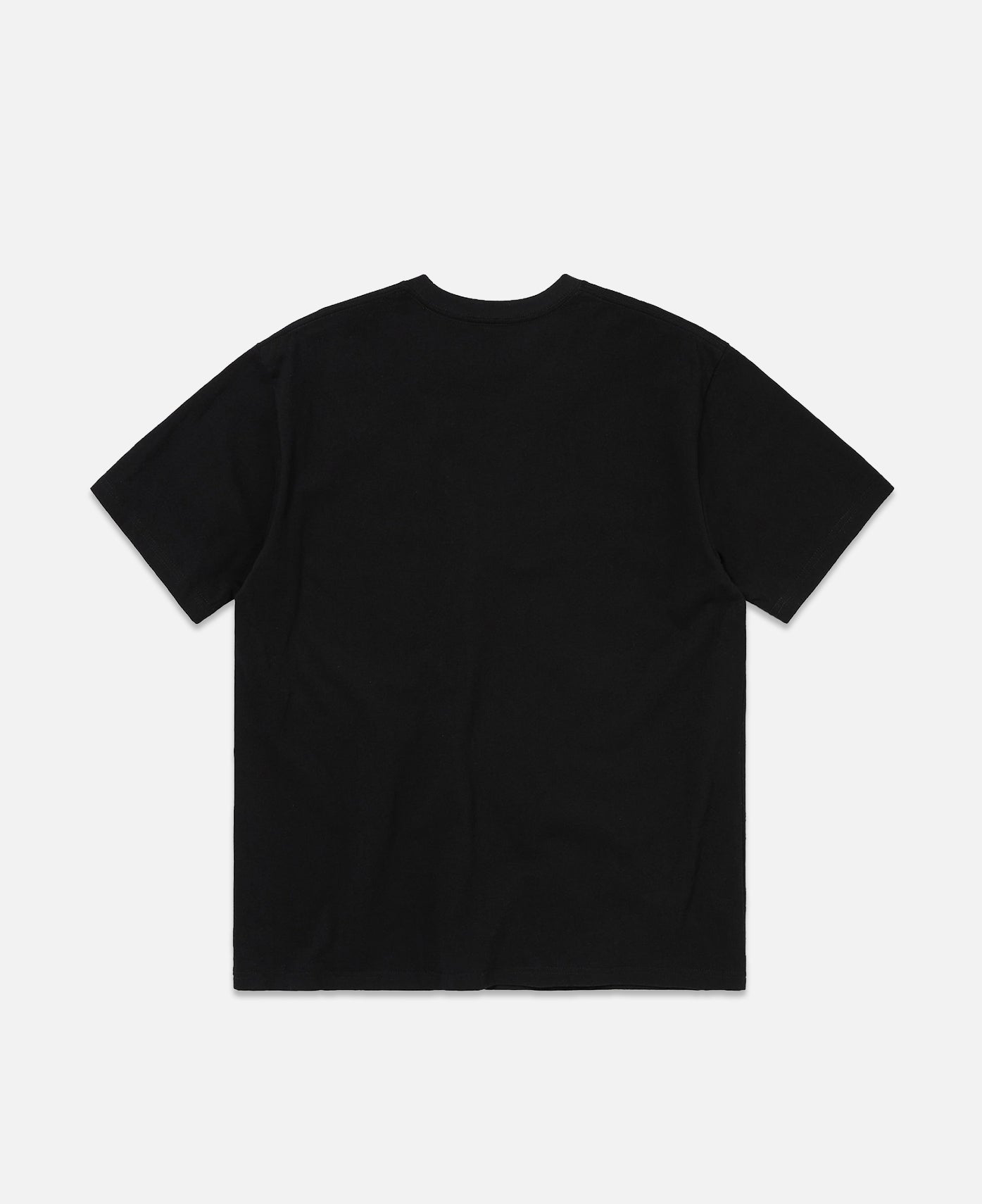 Brushed Paint T-Shirt (Black)