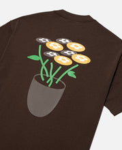 Classic Flower T-Shirt (Brown)