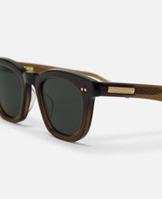 Sunglasses (Brown)