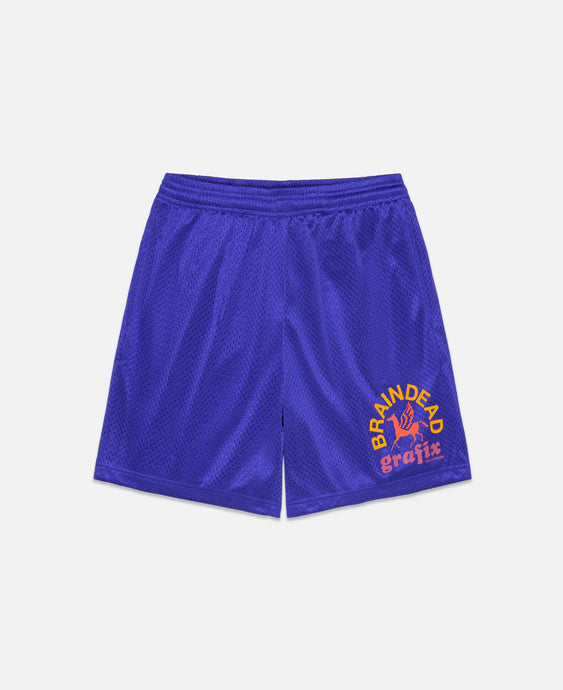 Grafix Team Shorts (Navy)