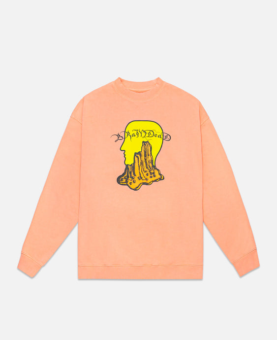 Mount Slime Crewneck (Peach)