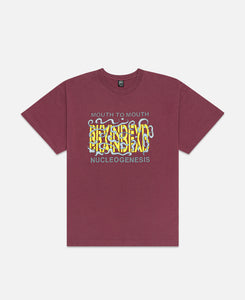 Nucleogenesis T-Shirt (Burgundy)