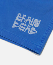 Pigment Core Shorts (Blue)