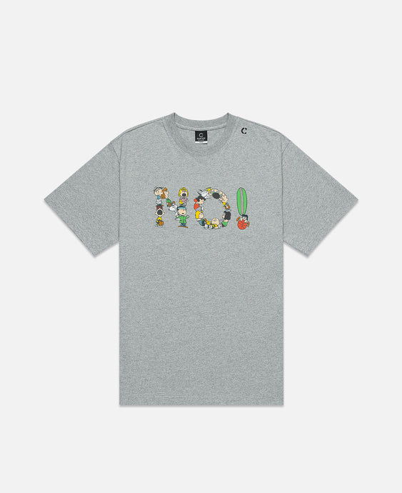 Peanuts Family T-Shirt (Grey)