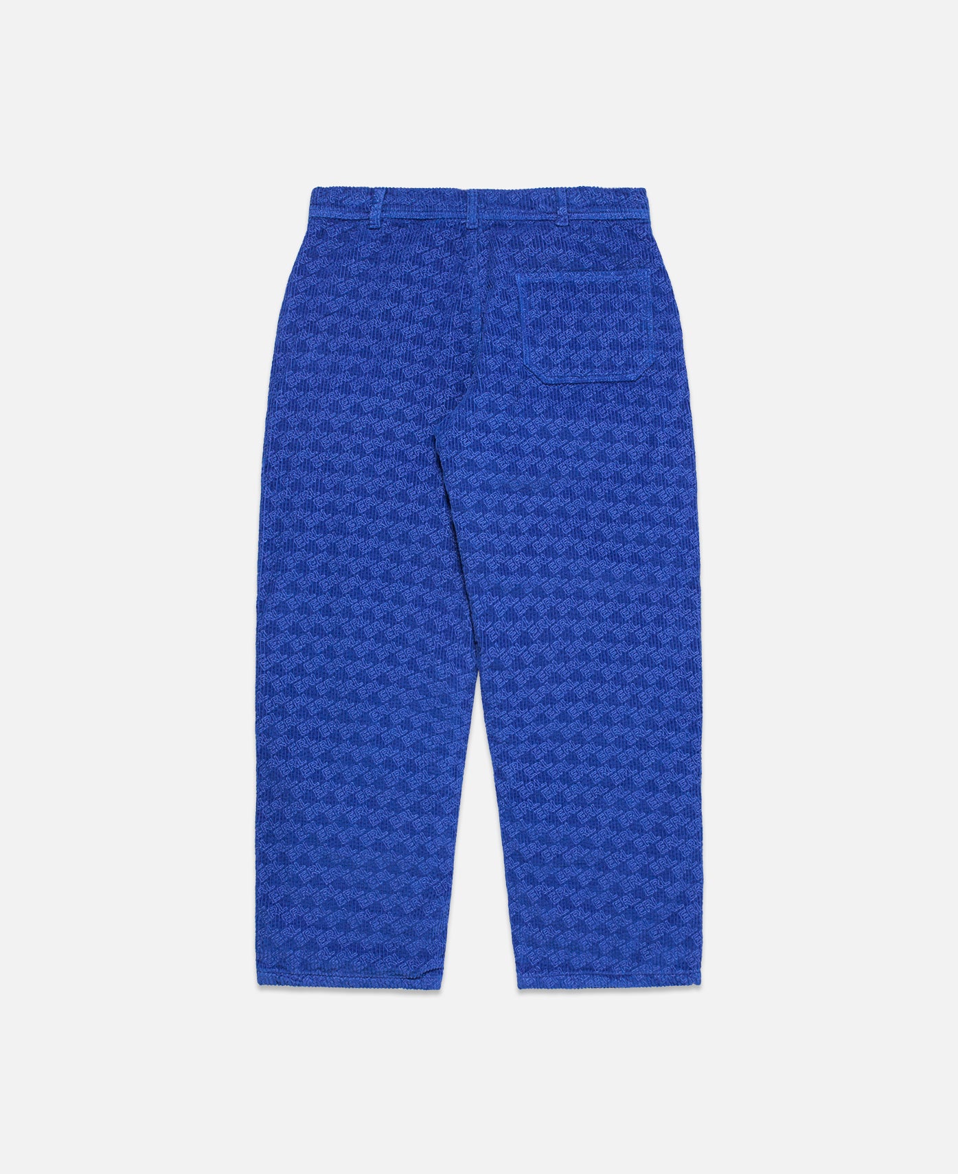 Unisex Corduroy Embossed Pants Woven (Blue)