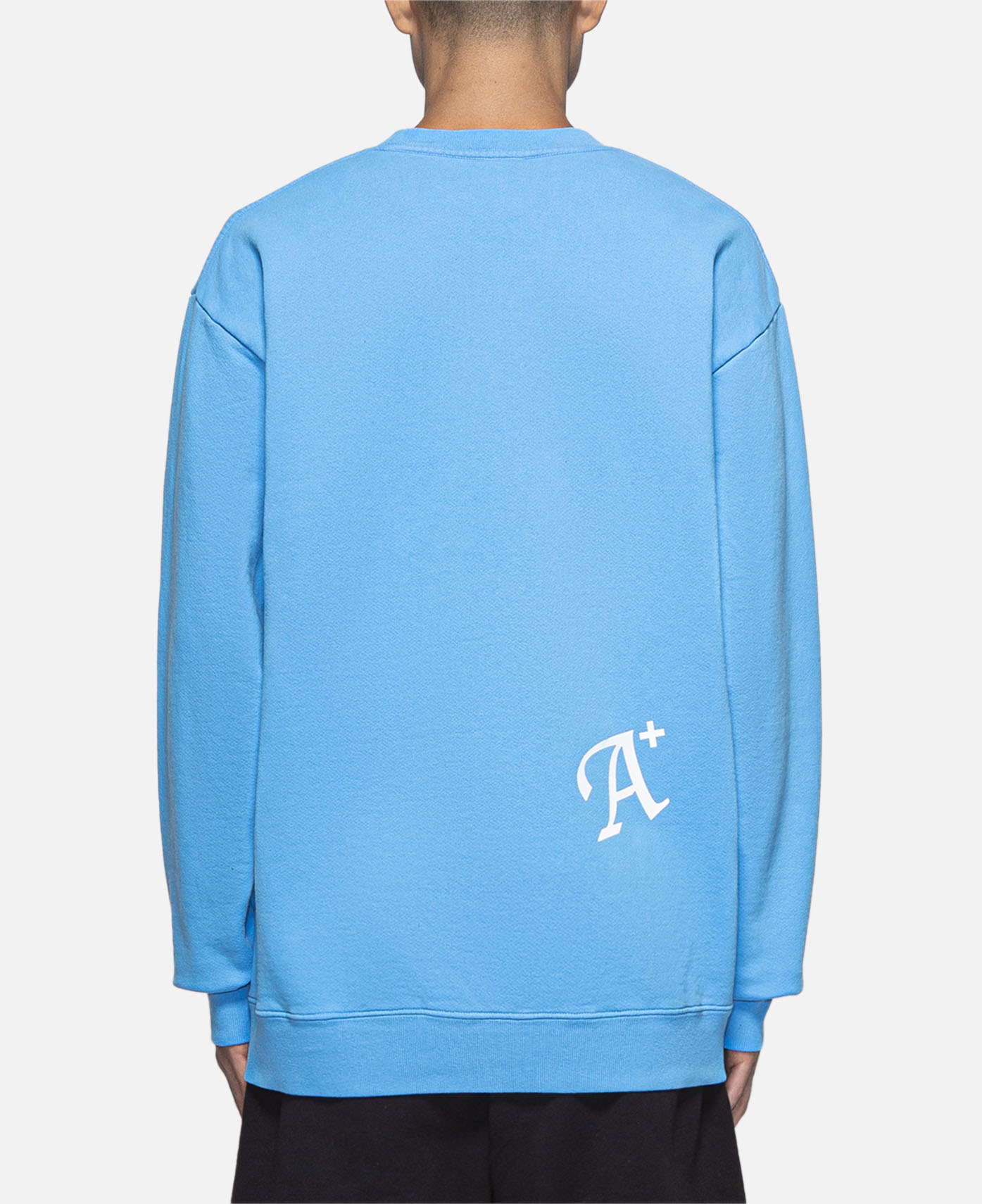 Daisy Crew Neck Sweat (Blue)