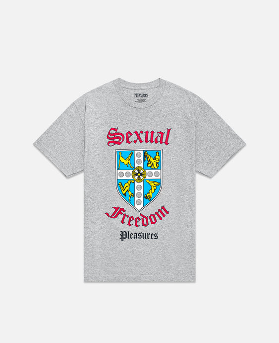 Educated T-Shirt (Grey)
