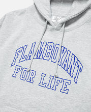Flamboyant Hoodie (Grey)