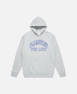 Flamboyant Hoodie (Grey)