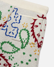 Multi Color Bandana Shorts (Multi)